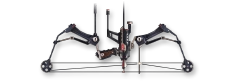 Compound Bow