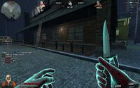 In-game screenshot
