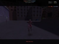 Ditto, third-person view