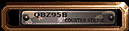 "QBZ-95 COUNTER-STRIKE" plaque on the weapon's receiver