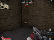 In-game screenshot