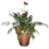 Hide potted plant2