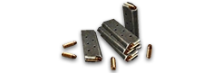 Partial Secondary Ammo (+10%)