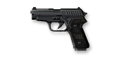 P228.png