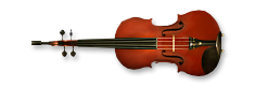 Violingun