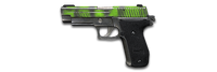 P228 spray1 s