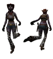Cowgirl origin.png (197 KB) Host model