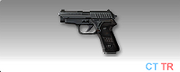 200px-Icon p228.png