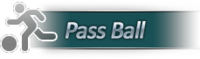 Successful pass notice