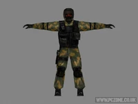 28-28-2073.jpg (35 KB) SEAL Team 6 wearing woodland camouflage