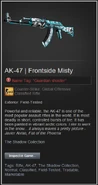 A renamed AK-47 skin being previewed in Steam Inventory.