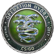 Diamond Operation Hydra coin