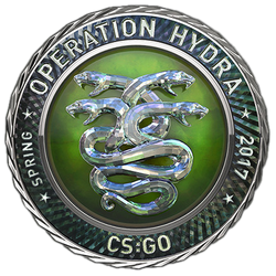 Hydra cs go tor browser для оперы hydra2web
