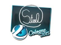 Csgo-col2015-sig steel large