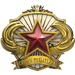 2018 Service Medal - Level 6