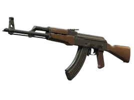CS2 AK-47 Inventory