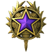 2020 Service Medal - Level 4