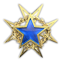 Csgo-service medal 2015 lvl1