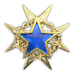 Csgo-service medal 2015 lvl1