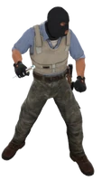 Playermodel