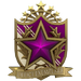 2022 Service Medal - Level 5