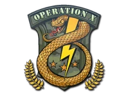 Badge of Service