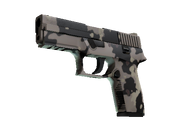 P250 - Black & Tan