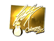 Csgo-col2015-sig fox gold large