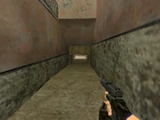 Crawlspace