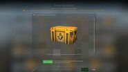 Csgo xrayscanner case