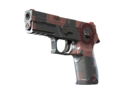 Train2025 p250 constructivist.png (108 KB) P250 - Constructivist