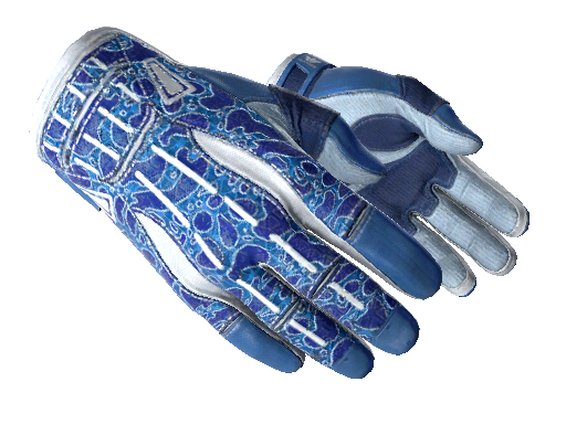 Sport Gloves