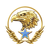 Csgo-rank-level15.png