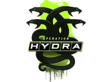 Operation Hydra