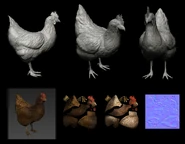 High poly and process of the Chicken