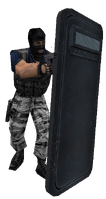 P shield glock
