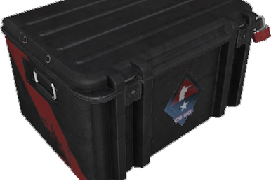CSGO Item Storage: Where Pixels Meet Proper Planning