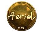 Aerial (Gold)