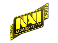 Natus Vincere (Gold) | Katowice 2015