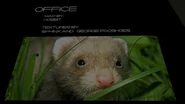 Cs office mouseCreatorNotice.png (622 KB) Developer note featuring a mouse/ferret on it.