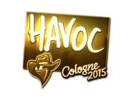 Csgo-col2015-sig havoc gold large