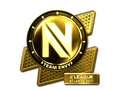 Team EnVyUs (Gold)