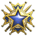 Service medal 2019 lvl3 large