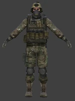 Early Version