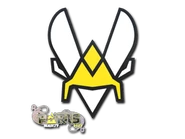 BLAST 23 vita.png (30 KB) Vitality