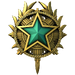 2020 Service Medal - Level 2