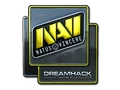 Natus Vincere (Foil)