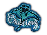 Cruising Ray