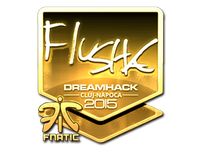 Csgo-cluj2015-sig flusha gold large