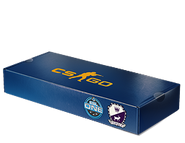 Esl-one-2014 souveneir-cbble.png (41 KB) ESL One 2014 Souvenir Package